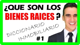 ¿Qué son BIENES RAICES o BIENES INMUEBLES definicion [upl. by Christiana244]