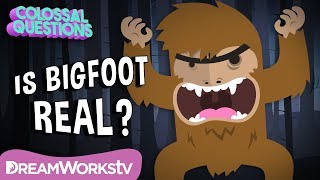 Could Bigfoot Be Real  COLOSSAL QUESTIONS [upl. by Aciretnahs]