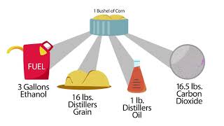 Understanding Ethanol CoProducts [upl. by Aurora]