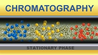 Chromatography Animation IQOGCSIC [upl. by Almire]