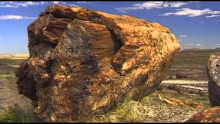 Petrified Forest Vacation Travel Video Guide [upl. by Geirk]