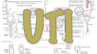 Urinary Tract Infection  Overview signs and symptoms pathophysiology causes and treatment [upl. by Garik]