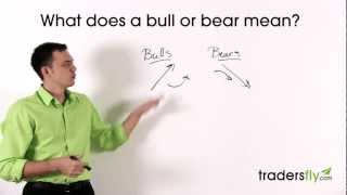 What Does a Bull and Bear Mean in the Stock Market [upl. by Reldnahc339]