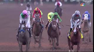 Arrogate Career Highlights [upl. by Zinnes]