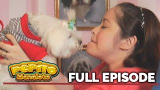 Pepito Manaloto The Manalotos new fur babies  Full Episode 18 [upl. by Lucrece]