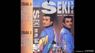 Seki Turkovic  Ti u sebi imas nesto  Audio 1994 [upl. by Adnale497]