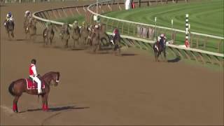 Top 50 Greatest American Racehorses [upl. by Mayfield]