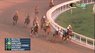 Arrogate wins the world’s richest horse race  Pegasus World Cup 2017 [upl. by Aymik347]