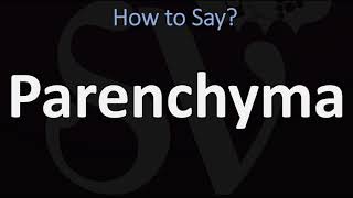 How to Pronounce Parenchyma CORRECTLY [upl. by Adrahc]