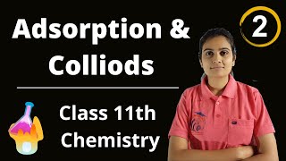 Adsorption and Colloids Class 11th Chemistry Part 2 [upl. by Anemij]