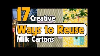 17 Creative Ways to Reuse Milk Cartons [upl. by Salis]