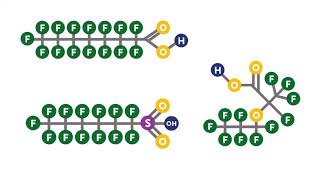 What are PFAS [upl. by Weldon]