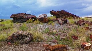 Petrified Forest National Park [upl. by Risser]