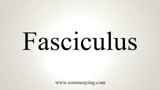 How To Pronounce Fasciculus [upl. by Darton]