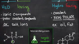 Hydrophilic vs Hydrophobic [upl. by Nemaj24]