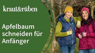 Apfelbaum schneiden 🍎  Apfelbaumschnitt für Anfänger [upl. by Darin219]