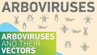 Arboviruses and their Vectors [upl. by Remsen]