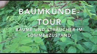 BaumkundeTour 17 Bäume und Sträucher erkennen [upl. by Nelan]