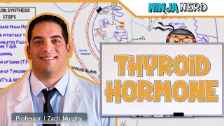 Endocrinology  Synthesis of Thyroid Hormone [upl. by Castle846]