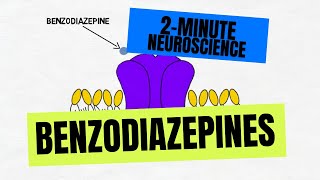 2Minute Neuroscience Benzodiazepines [upl. by Hsetih]