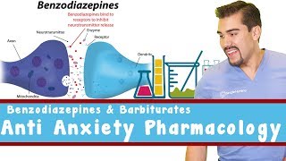 Anti Anxiety Pharmacology Benzodiazepines and Barbiturates [upl. by Nolyarb]