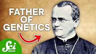 The Man Who Discovered Dominant amp Recessive Genes Meet Gregor Mendel [upl. by Capwell]