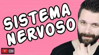 SISTEMA NERVOSO  FISIOLOGIA  Aula  Biologia com Samuel Cunha [upl. by Leeda]