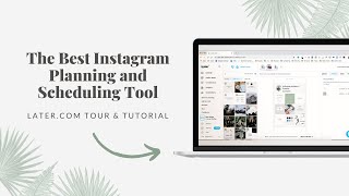 How To Use Later The Best Instagram Planning amp Scheduling Tool 📱 [upl. by Klusek316]