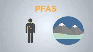 What are PFAS compounds and how can they affect human health  AKPM News [upl. by Deryl]