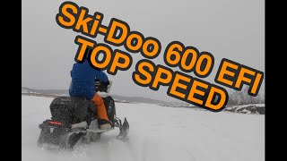 Ski Doo Expedition Sport 600 EFI Top Speed Test [upl. by Silas285]