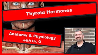 Thyroid Hormones Anatomy and Physiology [upl. by Anitap]