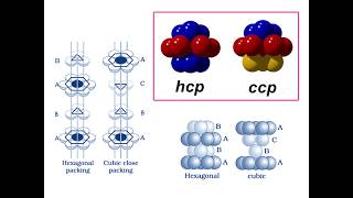 hcp vs ccp [upl. by Bernadina]