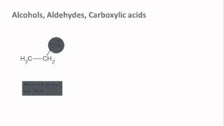 Biochemistry 12 Functional groups [upl. by Ylus]