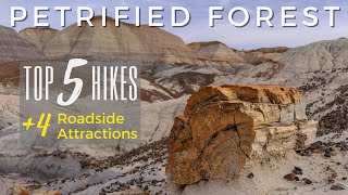 Top 5 Hikes  Petrified Forest National Park  Arizona [upl. by Harald]