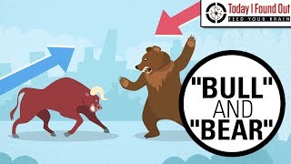 Why are Bull and Bear Markets Called That [upl. by Atiluap785]