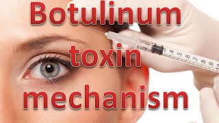 Botulinum toxin mechanism [upl. by Ardnos]