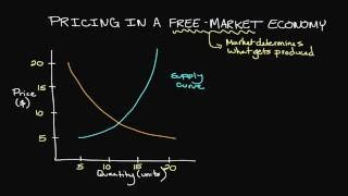 Pricing in a FreeMarket Economy [upl. by Arual538]