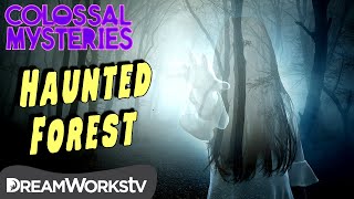 World’s Most Haunted Forest  COLOSSAL MYSTERIES [upl. by Doralia]