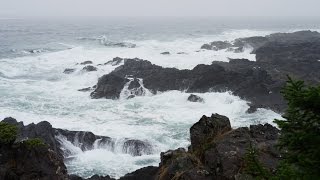 Sonido de Lluvia y Olas del Mar para Dormir y Relajarse  Meditación [upl. by Mihcaoj]