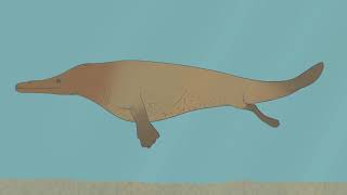 From Feet to Flippers The Evolution of Whales [upl. by Marta]