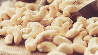 Why You Should Think Twice About Eating Cashews [upl. by Nanaek]