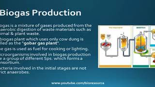 Biogas Methane Production  Process Applications Advantages and Disadvantages [upl. by Betthel]