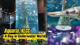 Aquaria KLCC  A Day in Underwater World [upl. by Atirac107]