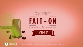 Comment faiton le vin   toutlevincom [upl. by Rehtae]