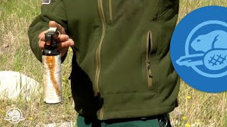 How to Use Bear Spray  Banff National Park [upl. by Erastatus]