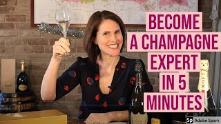 Understanding Champagne in 5 minutes or less [upl. by Ahsekan]