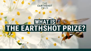 What Is The Earthshot Prize 🌍🏆  EarthshotPrize [upl. by Noxaj489]