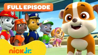 Rubble Joins the PAW Patrol and the Pups Save a Walrus  FULL EPISODES  Nick Jr [upl. by Harbard]