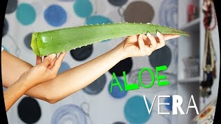 Mascarilla de aloe vera [upl. by Heise]