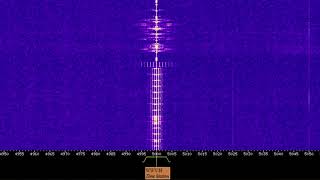 WWV Time Station 1 Hour Full Cycle  No Loop Radio ASMR [upl. by Inahteb447]